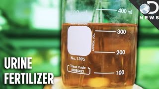 How Your Pee Could Help Billions Of People