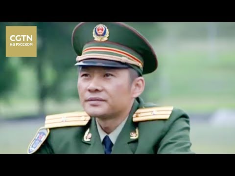 Путь, усыпанный космеями Серия 7 [Age0+]