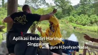 HARIMAU SINGGALANG - Aplikasi Beladiri
