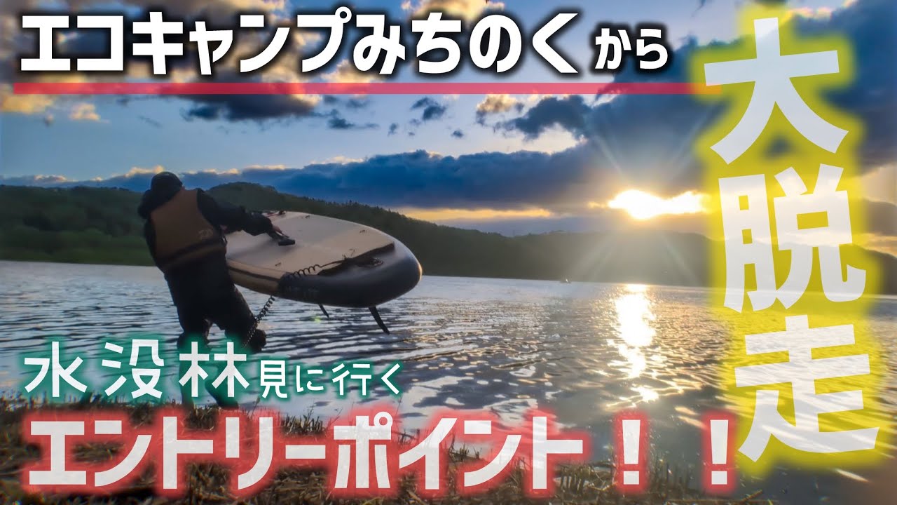 沈んだ森をSUPで突っ切る！水没林アドベンチャー in エコキャンプみちのく