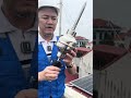 ⚡ REVIEW KIM CHỐNG SÉT SIRIUS – CÔNG NGHỆ TỪ THỔ NHĨ KỲ, BÁN KÍNH BẢO VỆ 64M