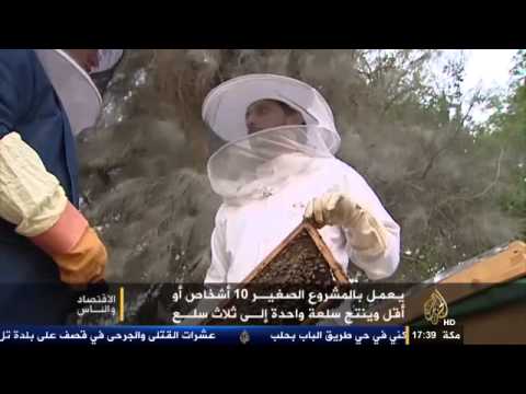 الاقتصاد والناس.. المشروعات الصغيرة في العالم العربي 19/