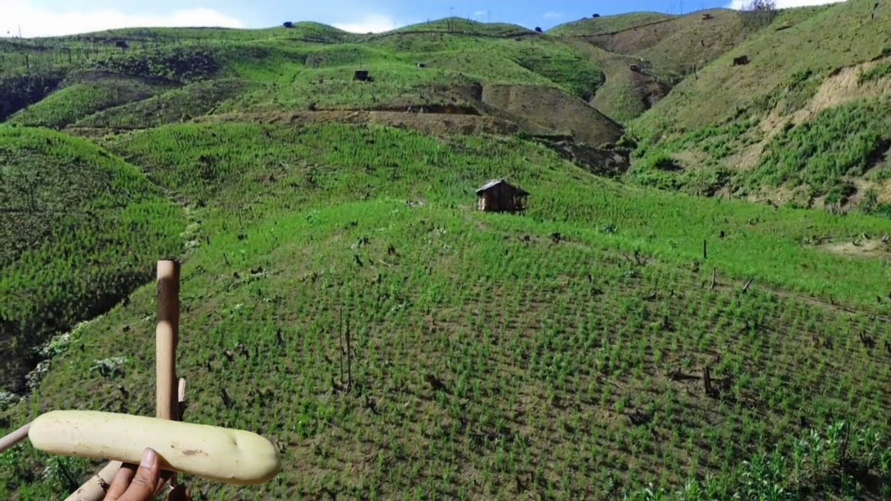 D Champuii te Lo || Lo man to ber of Chalrang dik zaih mai
