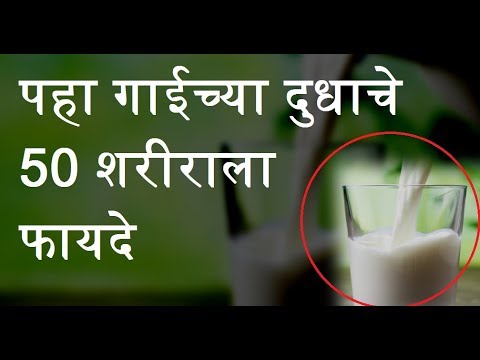 पहा गाईच्या दुधाचे 50 शरीराला फायदे - Cow Milk Benefits