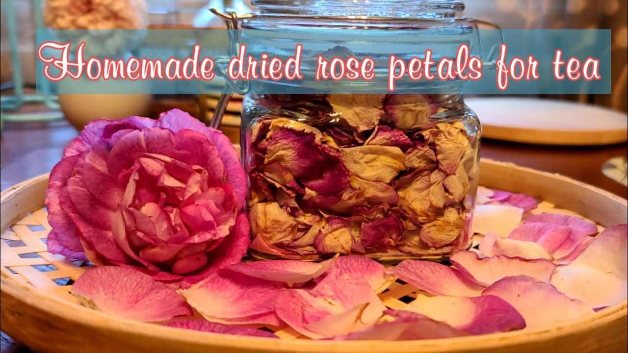 Homemade dried rose petals for tea YouTube