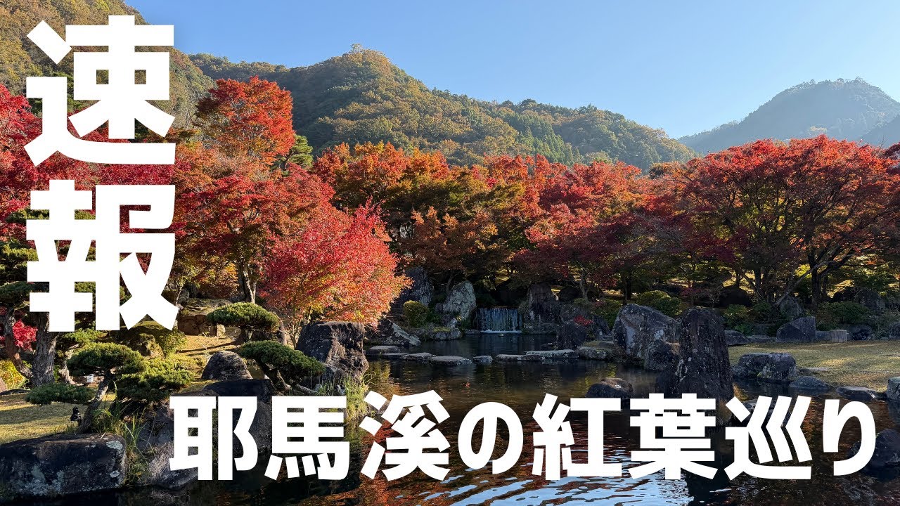 【速報】2025年耶馬溪の紅葉状況