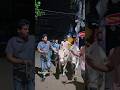 Qurbani caw video 2026 #shorts #cow