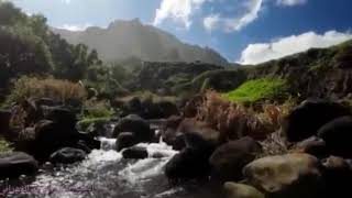 تلاوة بأجمل صوت(وهو الرحيم الغفور) سورة سبأ (الشيخ عبد العزيز الزهراني )