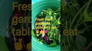 freshgulayfrom Gardentalongtalboskamotesaluyotetc