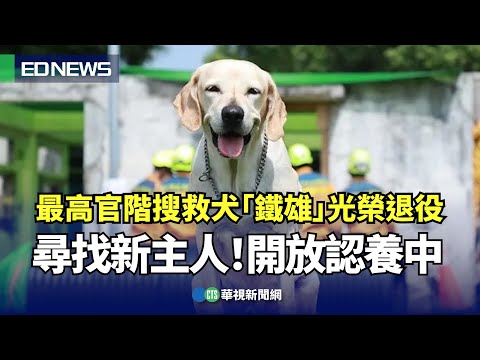 最高官階搜救犬「鐵雄」光榮退役 尋找新主人！開放認養中｜👍小編推新聞20230906