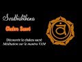 Chakra sacr  mantra vam  description et mditation by kokolou