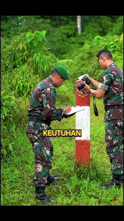 Pengecekan Rutin Patok Batas Negara Oleh TNI #tni #shorts #viral