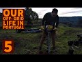 How we plant our trees - Off-grid in Portugal #5