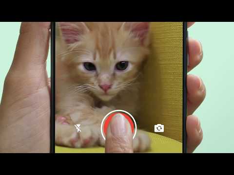 কীভাবে WhatsApp এ স্থিতি ব্যবহার করবেন - কীভাবে WhatsApp এ স্থিতি ব্যবহার করবেন