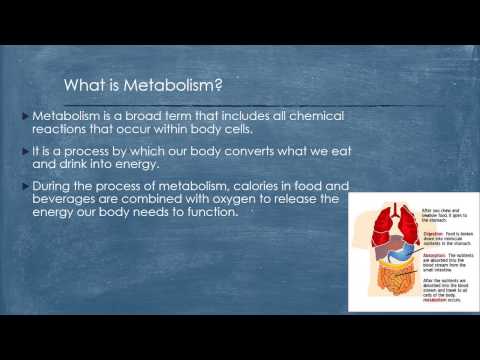 Anabolic and catabolic foods