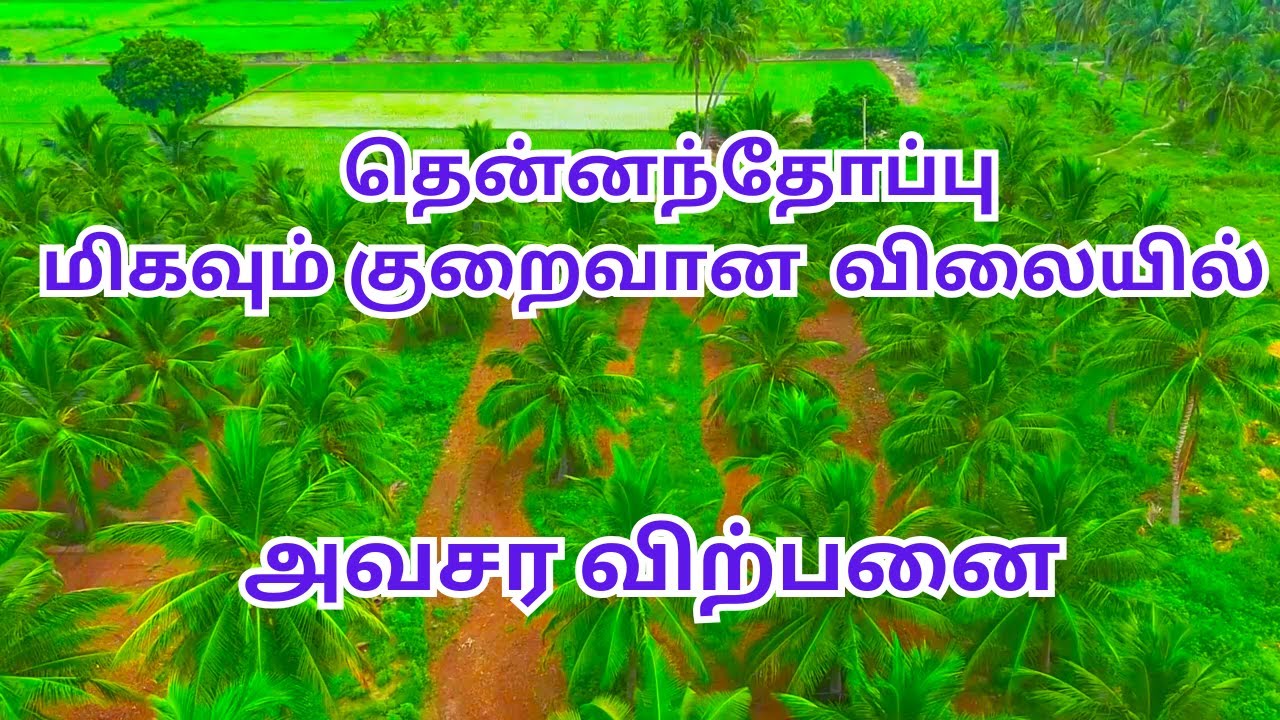 Недорогой фермерский дом в Коконат Гроув на продажу в Аторате