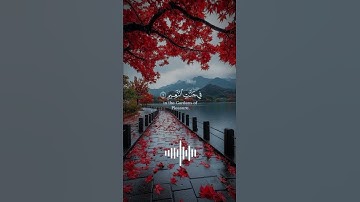 ﴿ إِنَّ الَّذِينَ آمَنُوا وَعَمِلُوا الصَّالِحَاتِ ﴾ | تلاوة خاشعة فارس عباد 💬 🤍💛