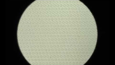 A microfluidic technique to estimate antigen expression on particles
