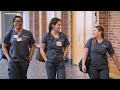 Bachelor of science in nursing preparing toptier nurses