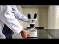Understanding and Using the Stereo Microscope