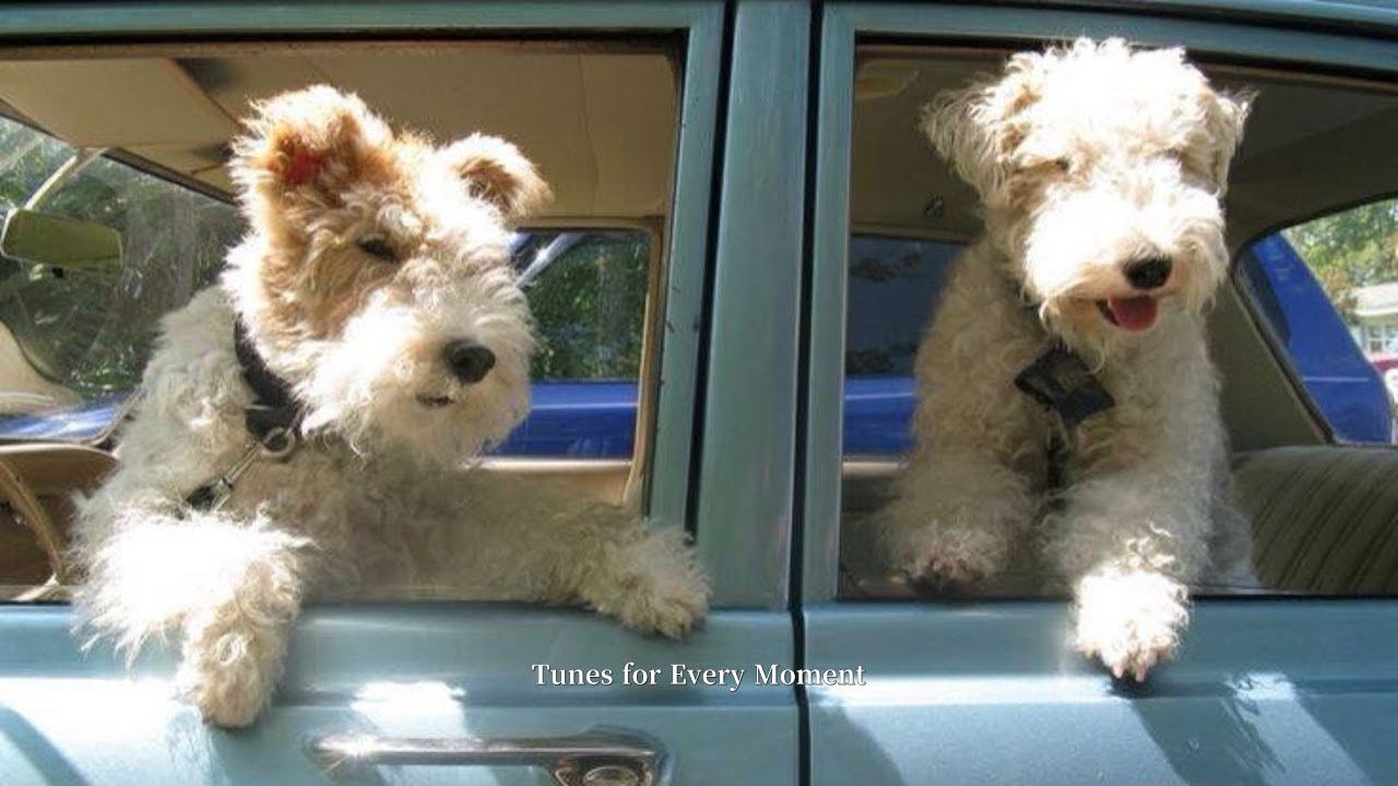 𝘱𝘭𝘢𝘺𝘭𝘪𝘴𝘵  와 방금 그 노래 뭐예요? 손님들이 자꾸 물어보는 포근한 그루브 감성힙합 카페플리🎧💿☁️