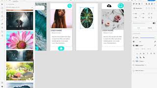 Celebrity Adobe XD 3 Tips and Tricks Net Worth
