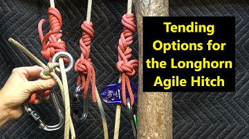 Tending Options for the Longhorn Agile Hitch