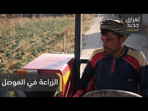 مزارع من الموصل