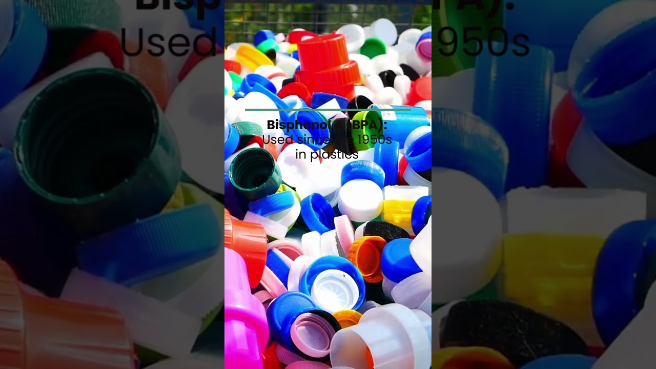 Understanding the HEALTH RISKS of everyday products!