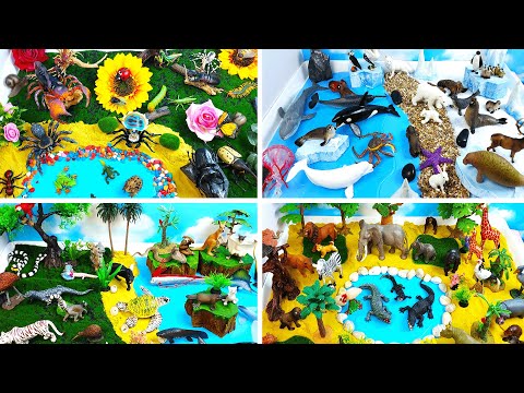 Grand Huge Animal Dioramas Collection Learn Insects Polar African Exotic Animals For Preschool Kids
