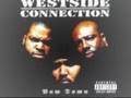 Westside Connection Fuck All The Critics In New York mp3