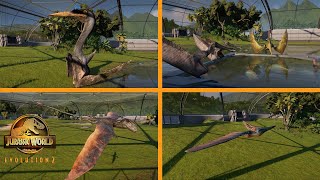 ALL FLYING SPECIES - Jurassic World Evolution 2