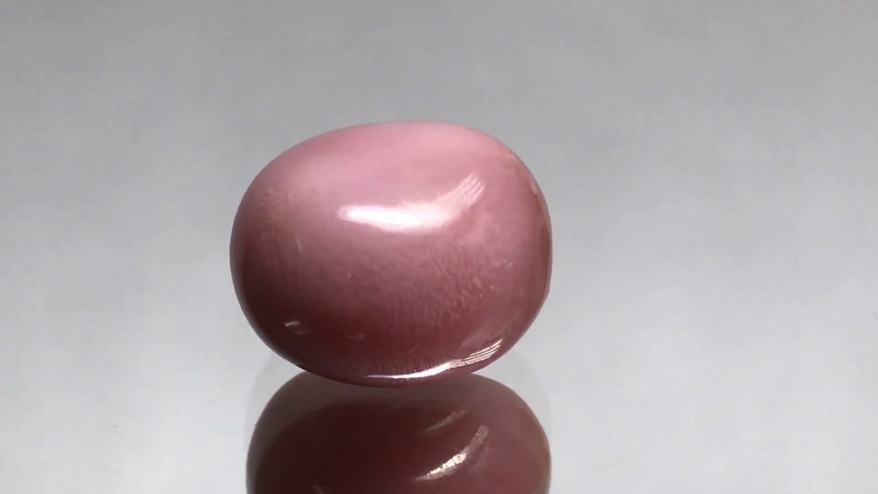 Extremely Rare 17.54 ct. Natural Conch Pearl