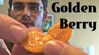 Goldenberry Review - Weird Fruit Explorer : Episode 16