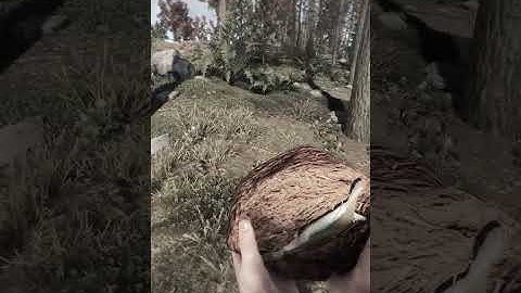 200IQ Bear Trap Play | Rust #Shorts