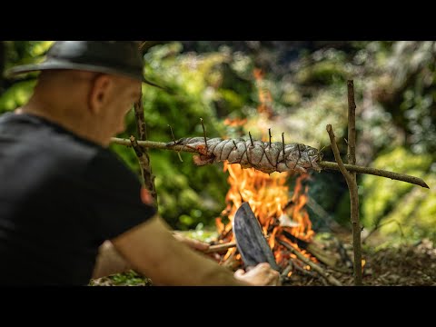 Видео: Алмазан хуулбар: сүрчигний үнэт чулуу