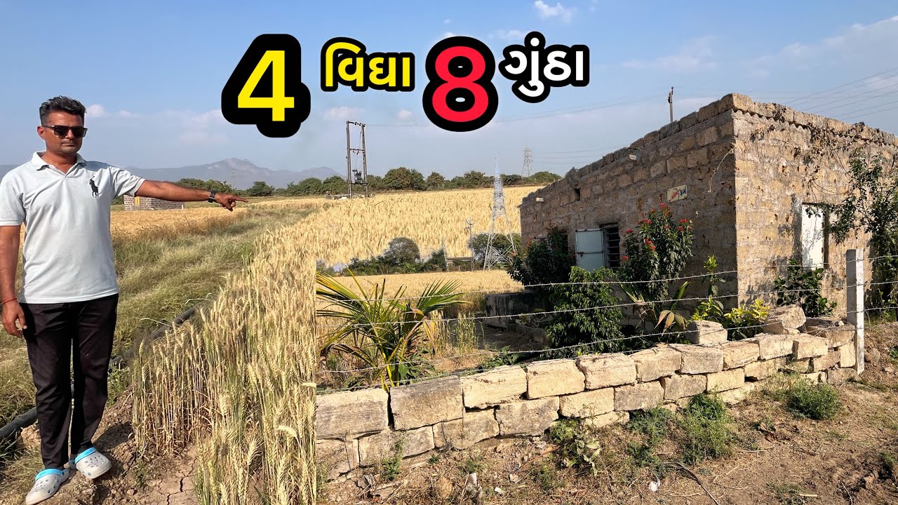 મેંદરડા તાલુકા મા ૪ વિઘા ૮ ગુંઠા રોડ થી ૧૫૦ મીટર 📞9584057697