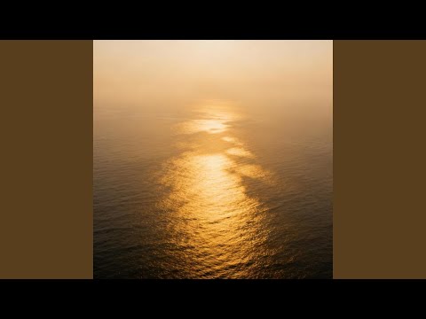 芦苇飞 (R&B氛围版)