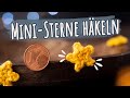 salbei als zimmerpflanze Salbei