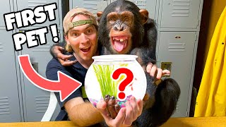 Baby Monkey Gets His First Pet ! What Is It ?!