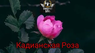 Hammer of Faith - Кадианская Роза