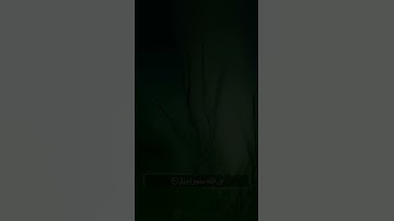 وَاسْتَغْفِرُوا اللَّهَ إِنَّ اللَّهَ غَفُورٌ رَّحِيمٌ ٠٢۝ || سورة المزمل بصوت القارئ عبدالرحمن مسعد