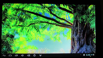 NeoTV CR v1.9 firmware installed on Rikomagic MK802IIIS Stick