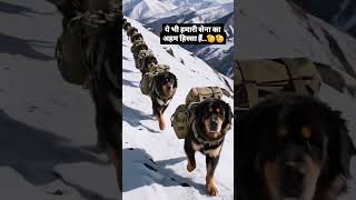 Love the dog 🐕 ❤#dogliver#petlover#animal #viral#video #indianArmy