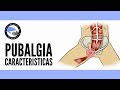 Pubalgia, que es, por que se produce, como se diagnostica, cual es su tratamiento