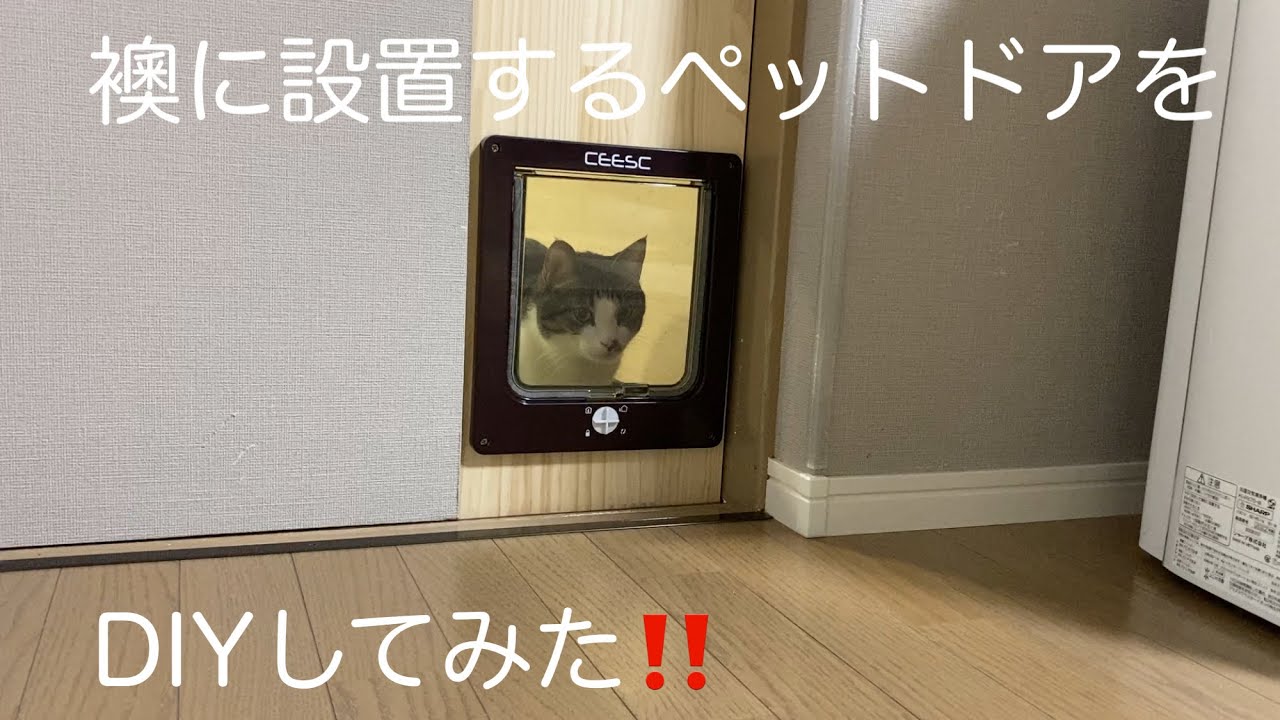 襖に穴を開けずに着脱可能なペットドアをDIYしてみた‼️