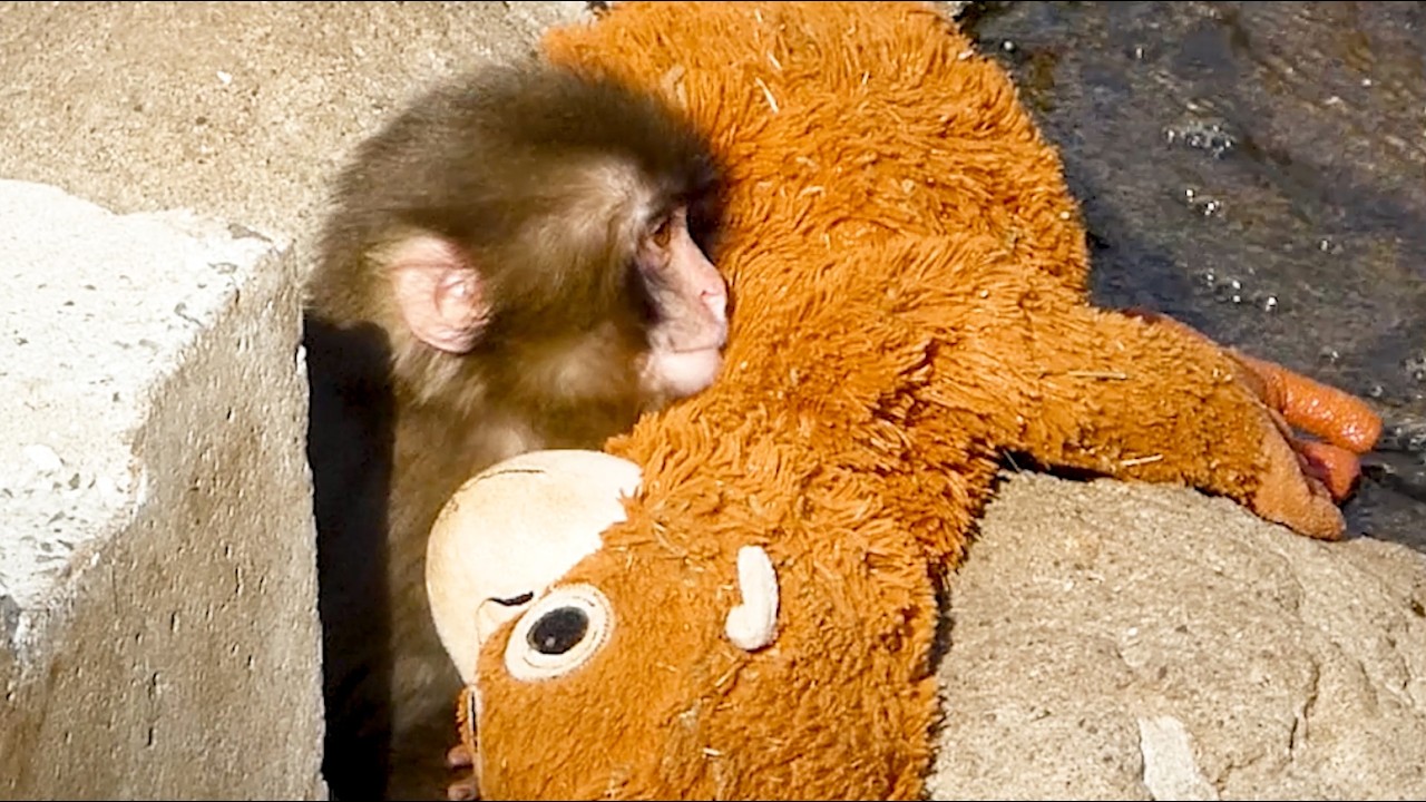 Punch secretly cuddles his mama… still such a baby