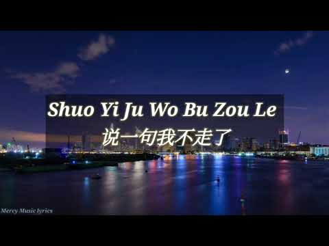 Shuo Yi Ju Wo Bu Zou Le - A Han ( Lyrics Pinyin , Terjemahan Indonesia )
