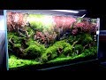 I want you to see my proud aquarium 3分だけでいいから俺の誇り高き水草水槽を見て欲しい。