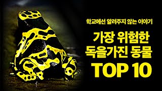 맹독을 가진동물 TOP10